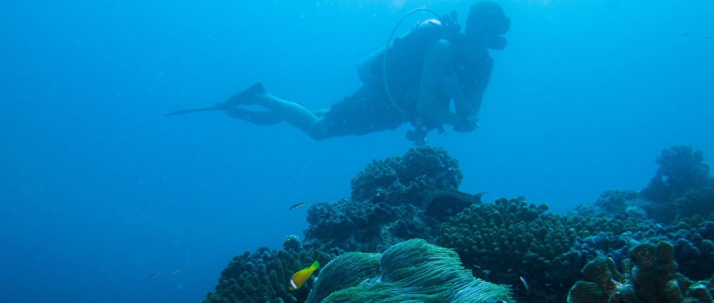 5.1_diving_03-1