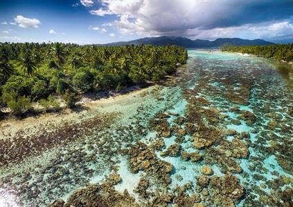 le-taha-a-island-resort-spa-activities-coral-garden