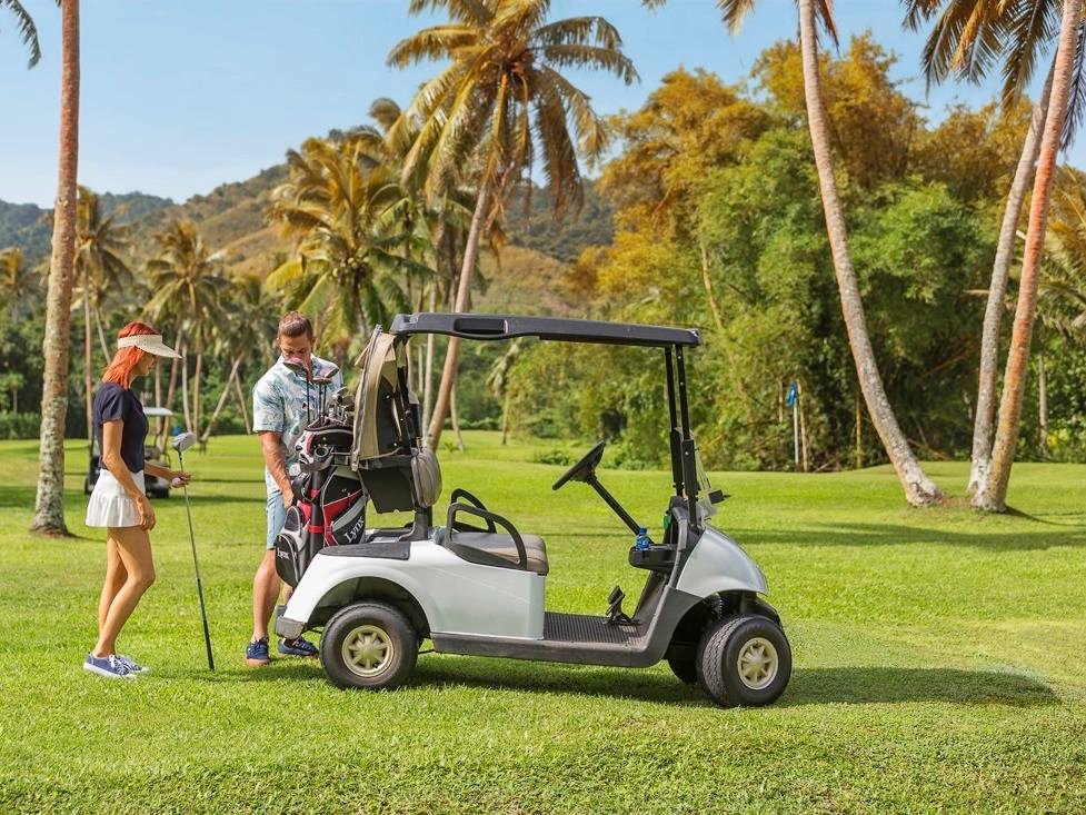 golf-cart-at-naviti-resort-standard