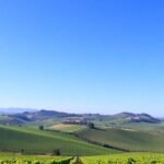 Lush vineyards and a picturesque winery under blue sky.