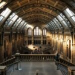 brown cathedral during daytimer